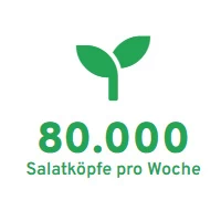 Grafik mit Text: 80.000 Salatkopfe pro Woche