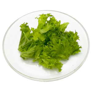 product_image_812 Das Bild zeigt den Blattsalat Lollo Bionda auf einem flachen Glasteller