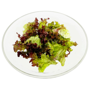 product_image_873 Das Bild zeigt den Blattsalat Lollo Rosso auf einem flachen Glasteller