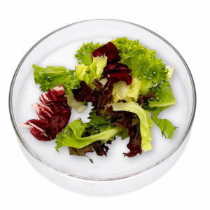 Das Bild zeigt den Mischsalat Si auf einem flachen Glasteller