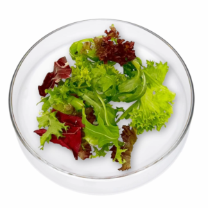 Das Bild zeigt den Mischsalat Prinzess auf einem flachen Glasteller