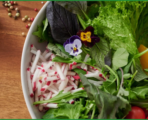 Bild zeigt ein auf der rechten Seite eine Schüssel mit verschiedenen Salaten, Paprika und Tomaten und links eine ganez Zwiebel mit Pfefferkörnern daneben auf einer Holzplatte.